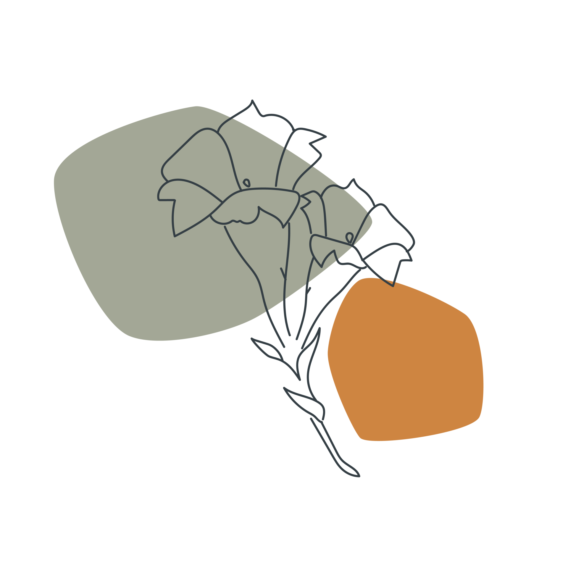 Lacet_Illustraties-09 LACET illustratie bloem