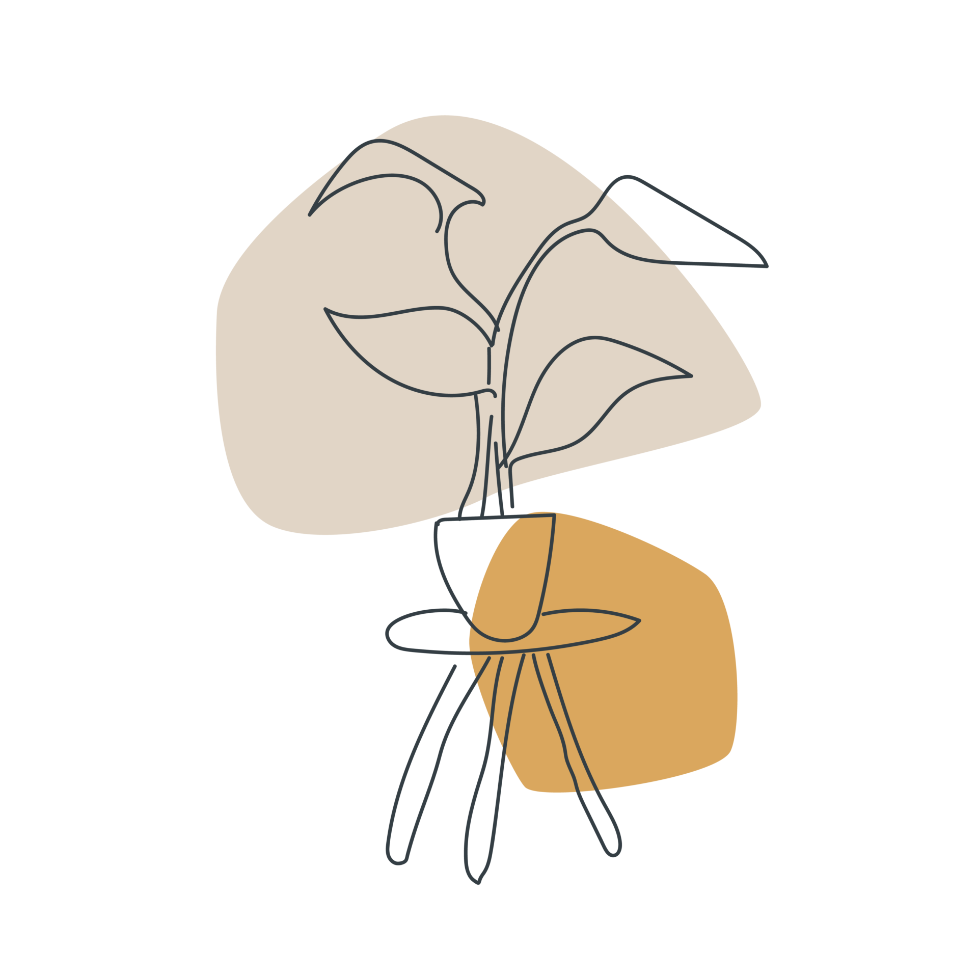LACET illustratie potplant