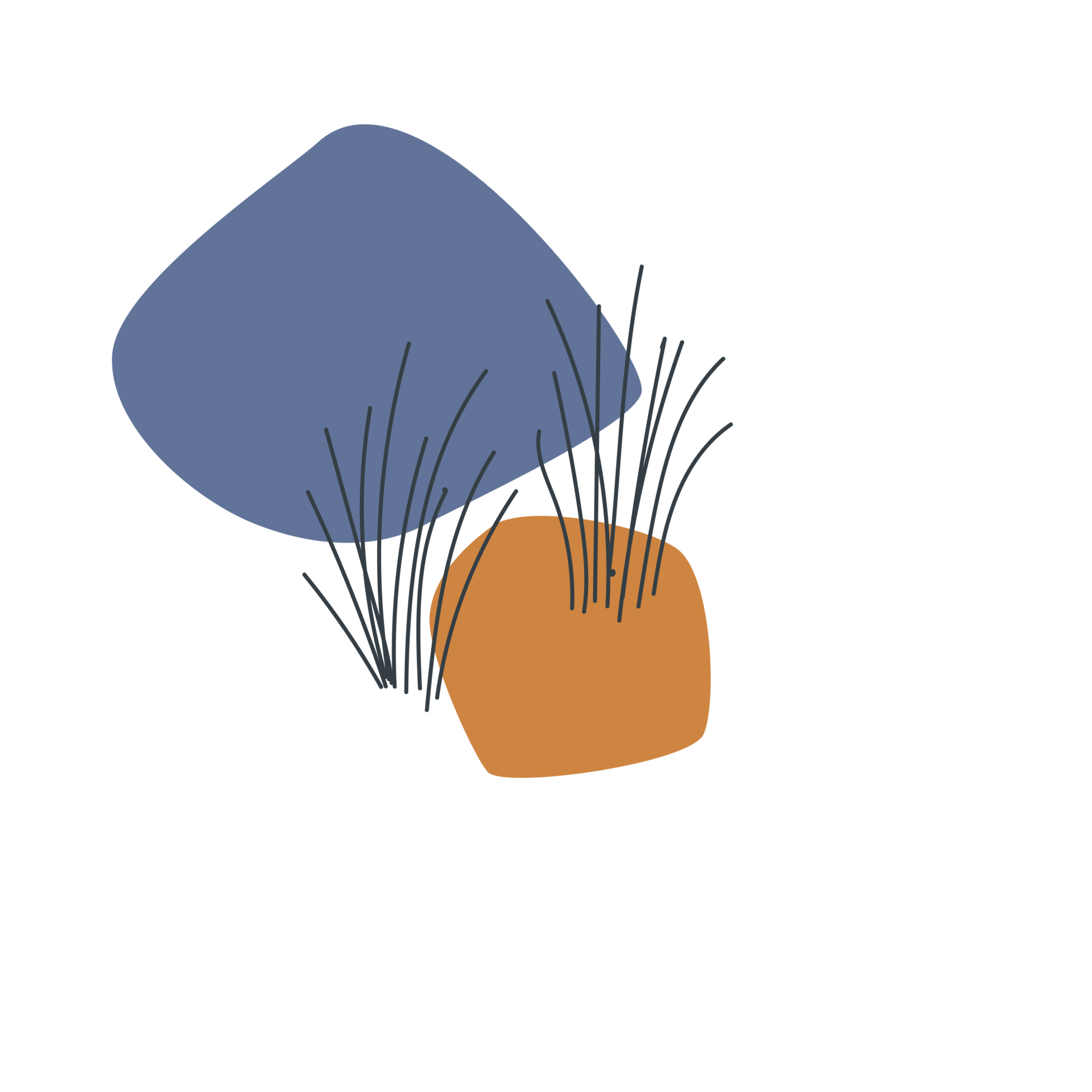 LACET illustratie grassprieten