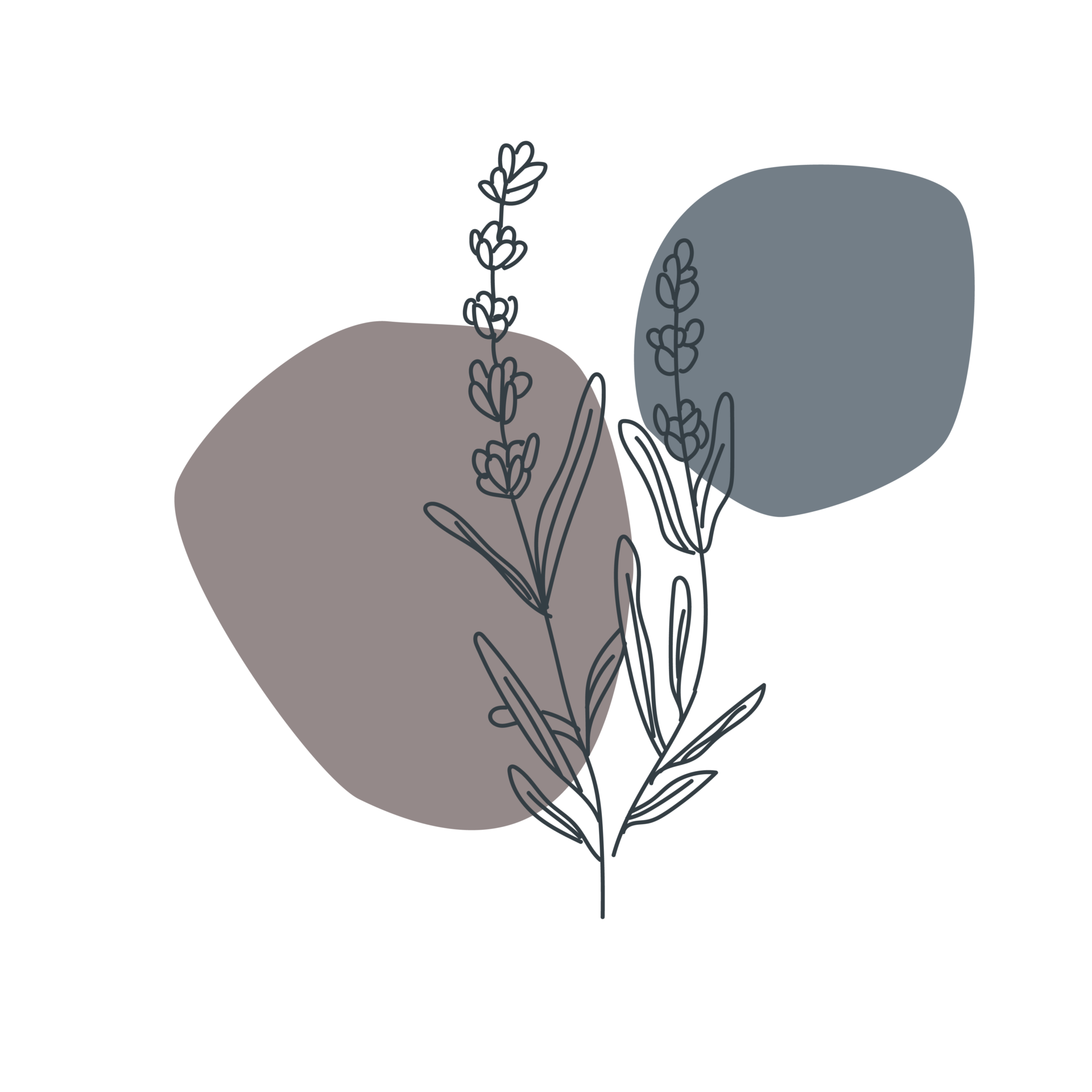 LACET illustratie bloem