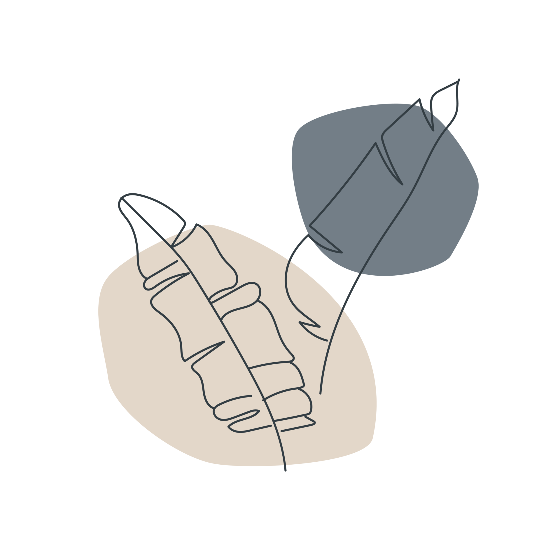 LACET illustratie varen