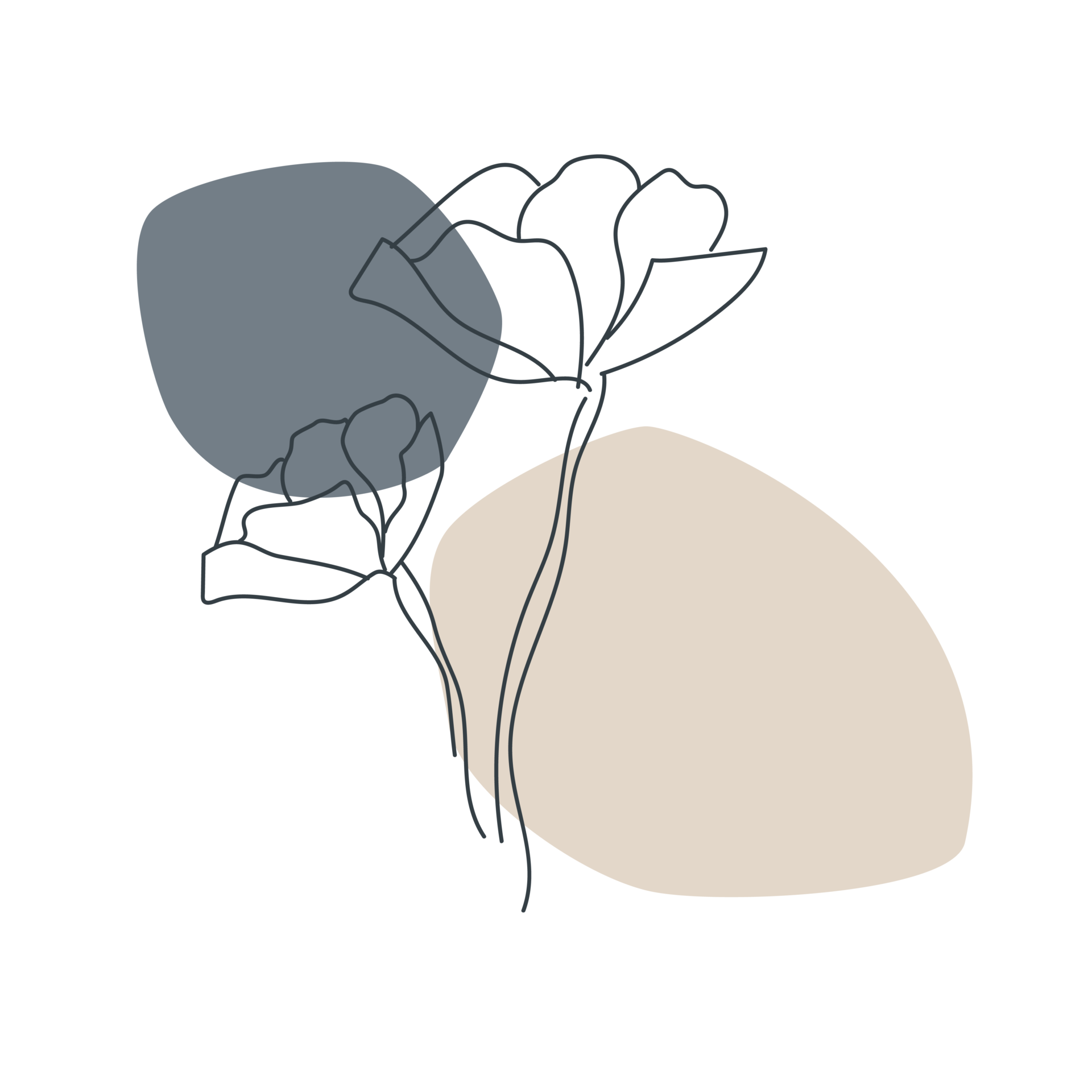 LACET illustratie bloem